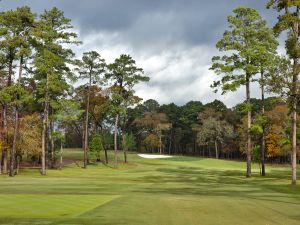 Bluejack National 8th